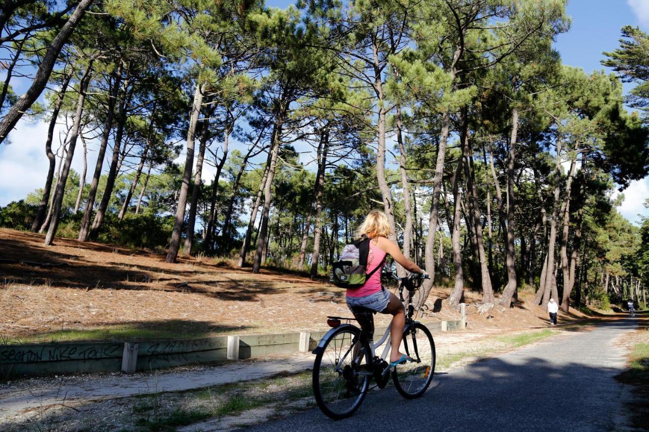 Les Ourmes Camping